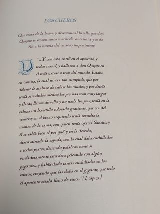 Álbum Filatélico Quijote 2005 Edición Príncipe