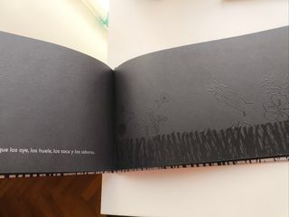 El libro negro de los colores