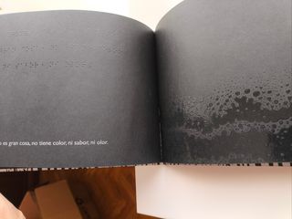 El libro negro de los colores