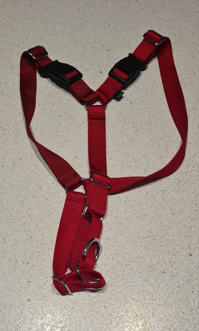 Pettorina cane Easy Walk taglia L rossa