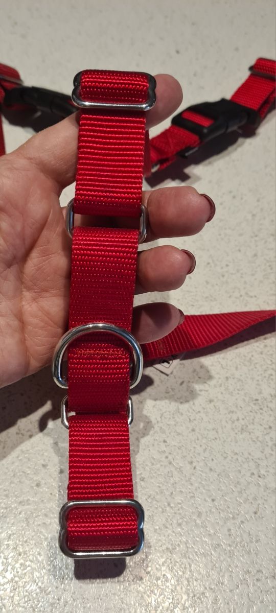 Pettorina cane Easy Walk taglia L rossa