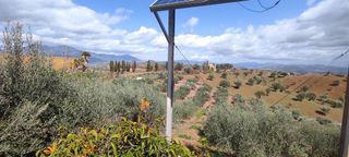 Terreno en venta en Coín