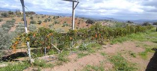 Terreno en venta en Coín