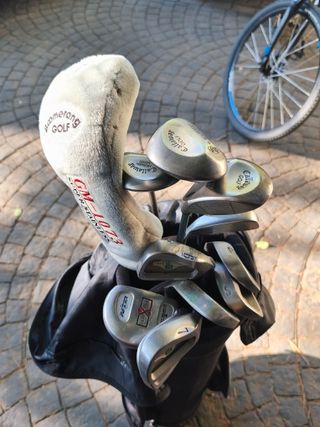 Material golf. Palos, bolsas y carros