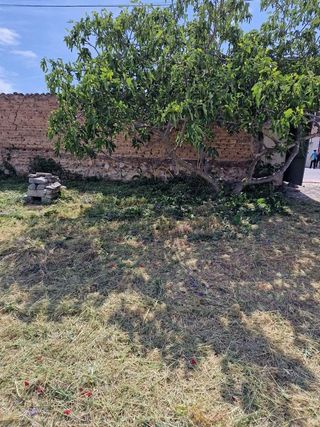 Terreno en venta en Tudela de Duero