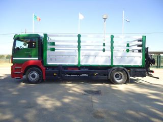Man TGM 18 390 - CAMIONES GRUAS