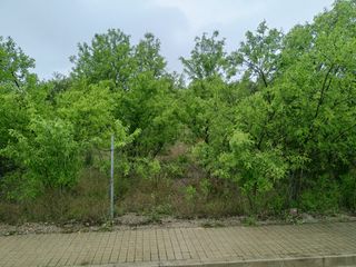 Terreno Urbano en Casinos (Valencia)