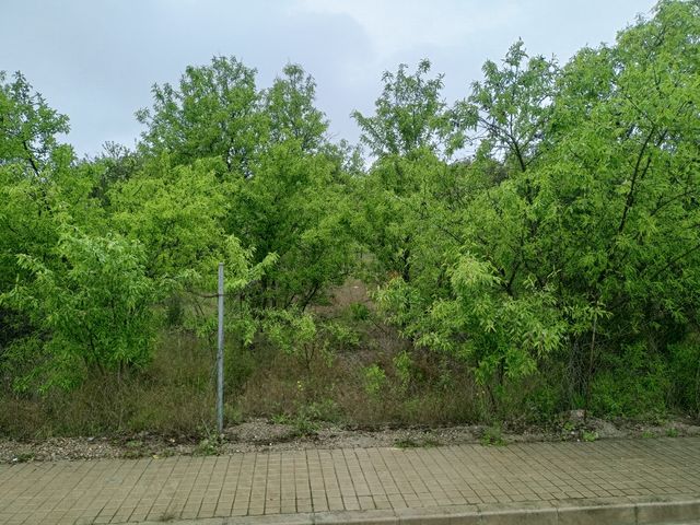 Terreno Urbano en Casinos (Valencia)