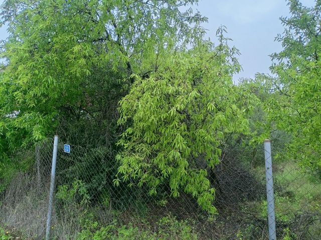 Terreno Urbano en Casinos (Valencia)