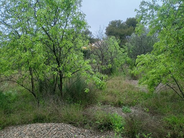 Terreno Urbano en Casinos (Valencia)