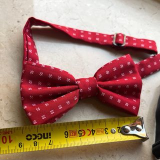 Papillon Boy - Promo 3x2