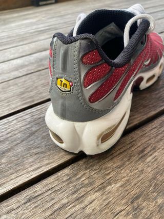 Nike TN Air Max Plus grises y rojas