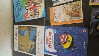 Lote libros infantiles