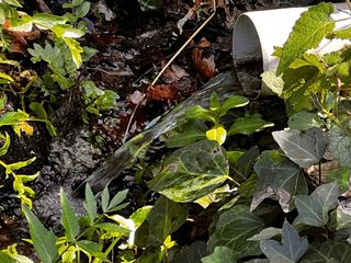 Terreno en venta en Jaraíz de la Vera
