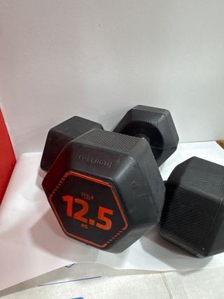 Mancuernas 12.5 Kg (27.5 Lb)