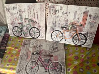 Trío cuadros bicicleta 40x50