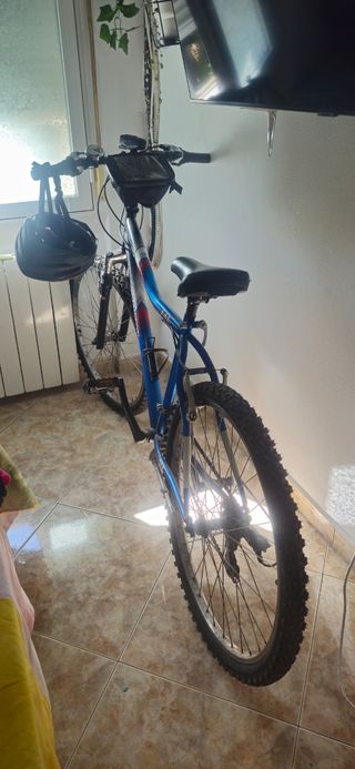 Bicicleta azul con casco