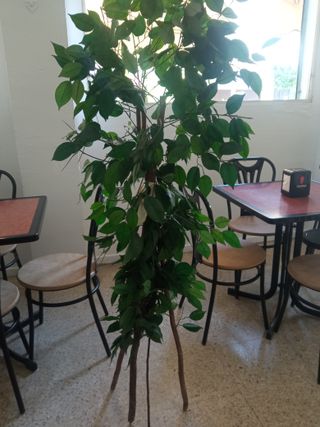 Planta artificial hojas verdes, con ramas d madera
