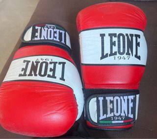 Guantes Leone 12oz Boxeo