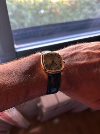 Liquidación Fin Semana Reloj Swiss Made 17 joyas