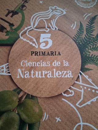 Libros de texto en perfecto estado