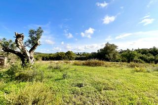 Solar en venta en Son Servera