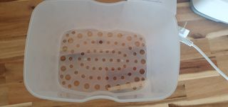 Esterilizador Chicco SterilNatural 3 en 1