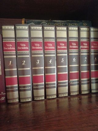 Vida Socialista