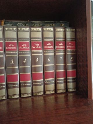 Vida Socialista