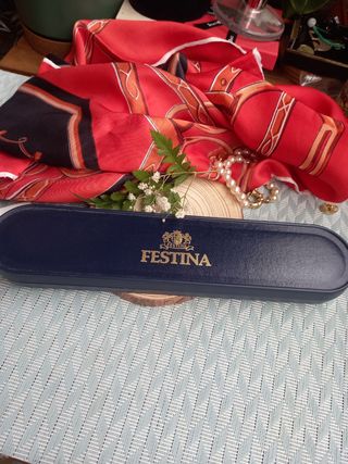 Reloj Festina Cuarzo Marrón y Dorado