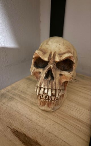 Figura calavera decorativa