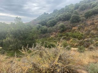 Terreno en venta en Calahonda en Mijas