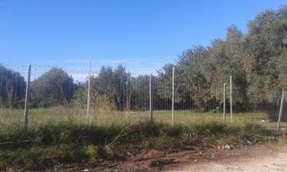 Solar en venta en Alcàsser