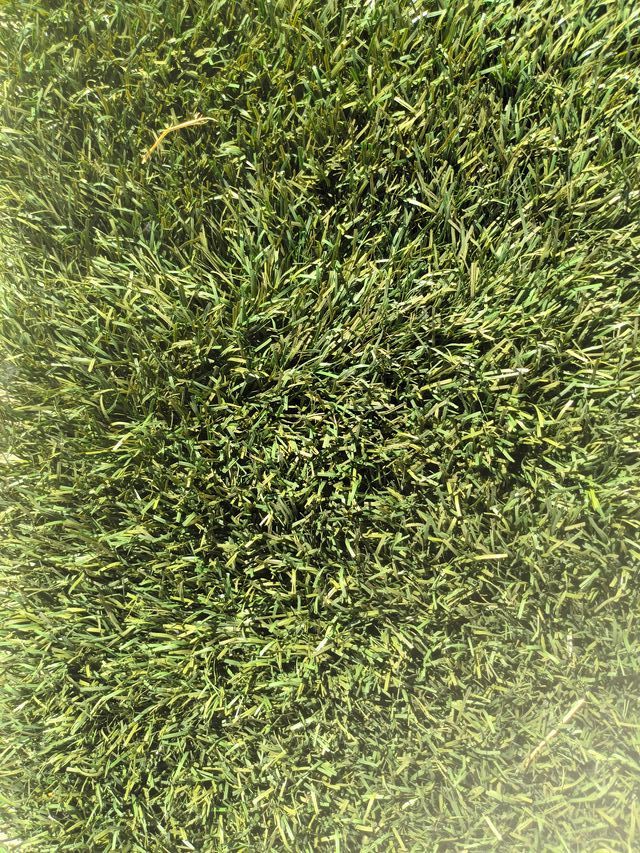 Césped artificial verde 50mm