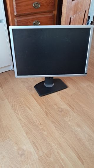 Pantalla Dell 24 Plata