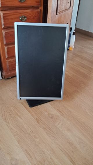 Pantalla Dell 24 Plata