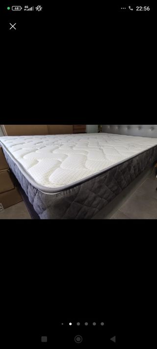 Canapé Canapé Canapé