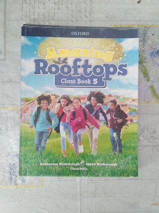 Amazing Rooftops 6. Class Book
