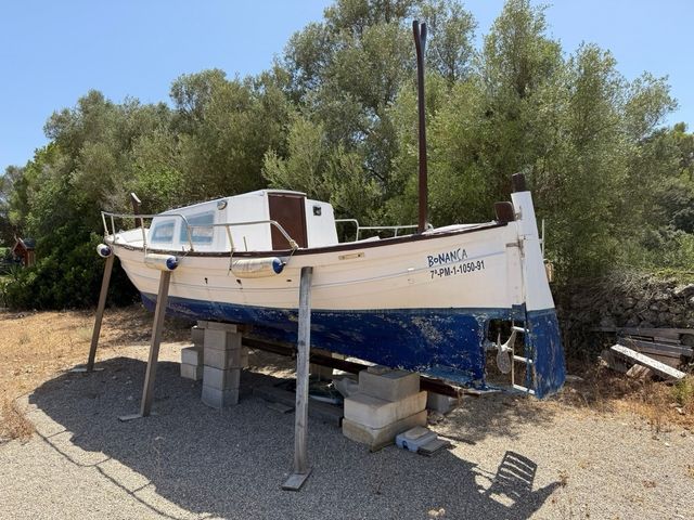Llaut Pequeño con Cabina Barco