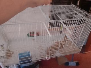 Jaula para pájaros 60cm