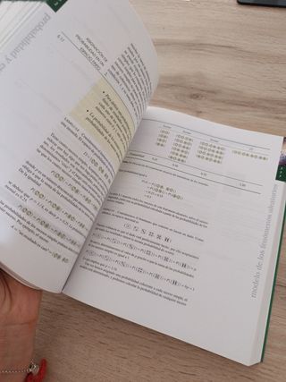 Introducción a las Matemáticas: Acceso a la Uni...