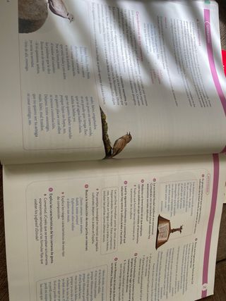 3ESO LENGUA Y LITERATURA CM SANTILLANA