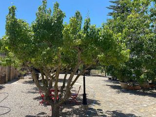 Hotel en venta en Montblanc