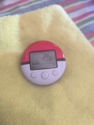 Pokewalker Nintendo