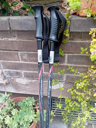 Bastones de esquí Salomon