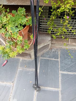 Bastones de esquí Salomon