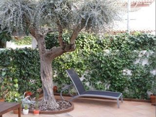 Casa en venta en Sant Pere de Ribes Centro en Sant Pere de Ribes