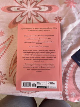 Encontrando a Silvia / Finding Silvia (Silvia S...