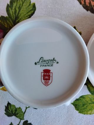 Spremiagrumi Limoges in porcellana