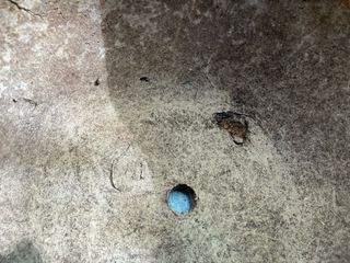 Macetas japonesas Azules Cerámica